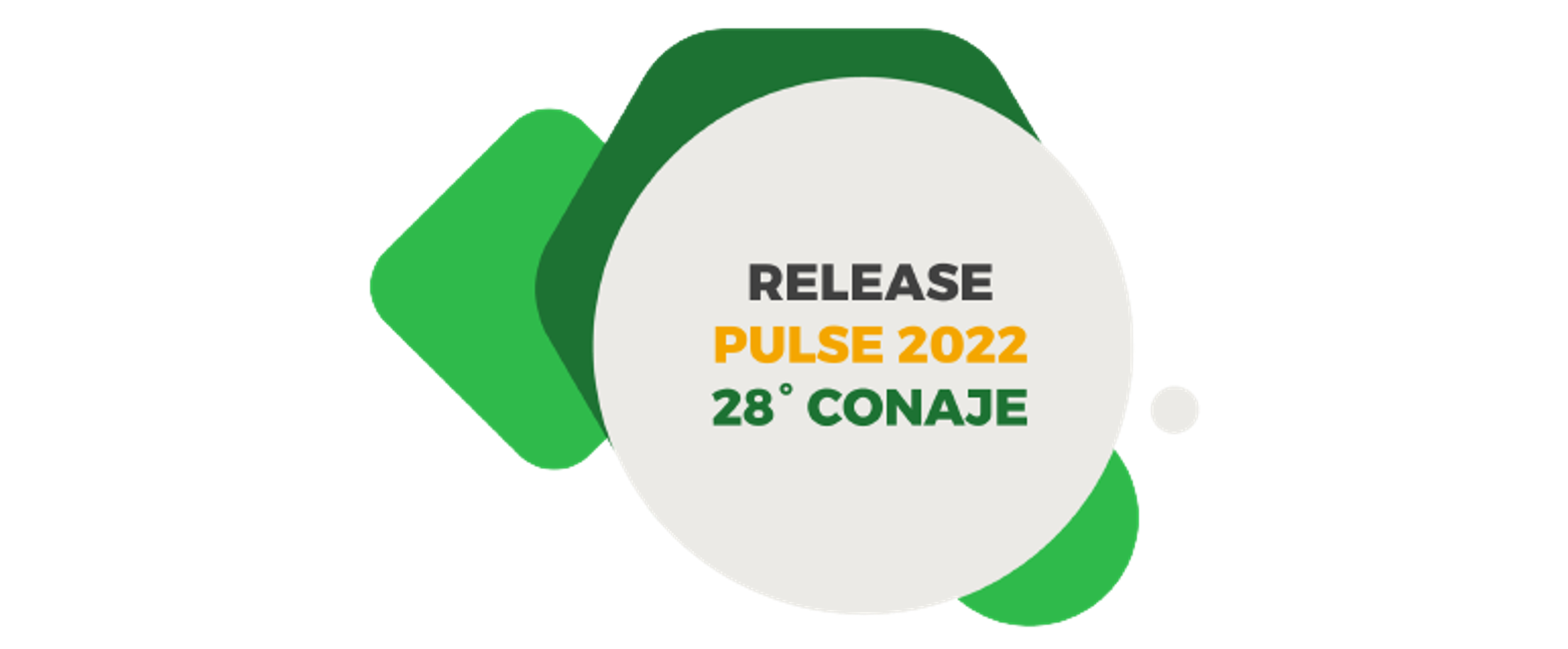 PULSE 2022 - 28º CONAJE em São Paulo